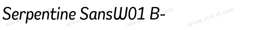 Serpentine SansW01 B字体转换